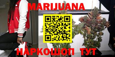 не бодяженный Камышлов