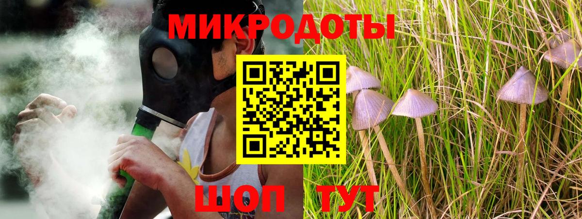 Псилоцибиновые грибы Psilocybine cubensis Майкоп